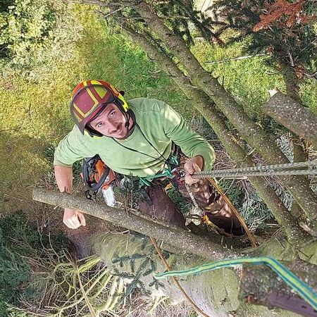Benjamin bei einer Baumabtragung